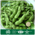 100%Pure Natural Soybean Extract Powder 40% (isoflavones)